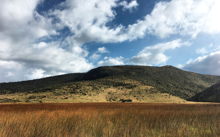 Paisaje Ecuador 15