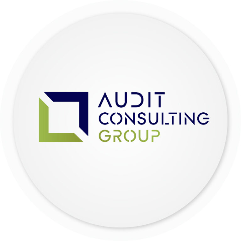 Audit consulting group